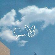 葛子dove的个人资料头像