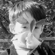 6500k的个人资料头像