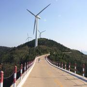 流浪者不想说话23962的个人资料头像