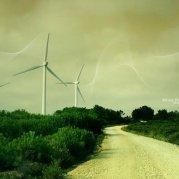 走很远的小路的个人资料头像