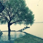 刘国红的个人资料头像