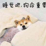 wanglijun93的个人资料头像