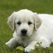 tomorrowwu24044的个人资料头像