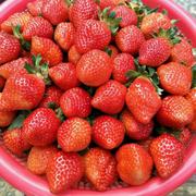 刘毅本尊的个人资料头像