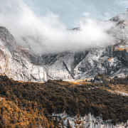 pqs的个人资料头像