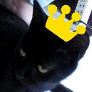 爱睡觉的桃小月的个人资料头像