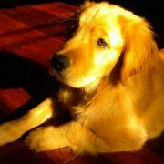 威武不屈的流年哥哥的个人资料头像