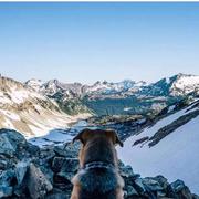 谢斌人的个人资料头像