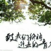 321肥仔的个人资料头像