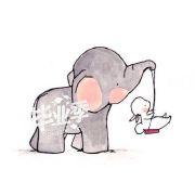 爱上小仙女的萌宠鱼的个人资料头像