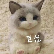 小尾巴在掘金的个人资料头像