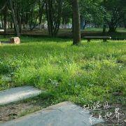 hello少年的快乐生活的个人资料头像