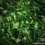 浮生若梦酱24805的个人资料头像