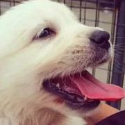 yangshiJ689的个人资料头像