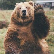 AeroOwl的个人资料头像