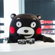 Giselle233的个人资料头像