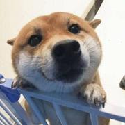 AlbertXYZ的个人资料头像