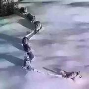 focusBI的个人资料头像