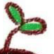 桦铭的个人资料头像