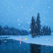 二二向箔的个人资料头像