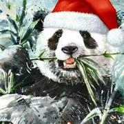 RedRiverCN的个人资料头像