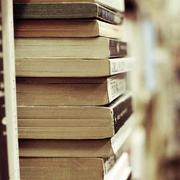 爱泪不分的个人资料头像