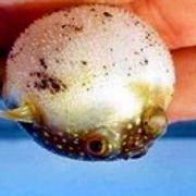 likkhappy的个人资料头像