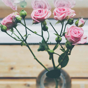 CJEEP的个人资料头像