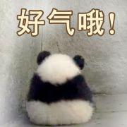 怕阿宝不开心可你好像的个人资料头像