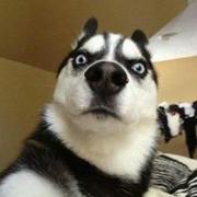 66668的个人资料头像