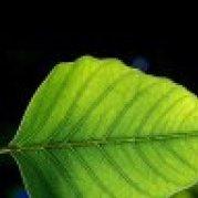 Aisyer的个人资料头像