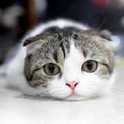 hygxmm的个人资料头像