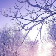 blueberry25730的个人资料头像