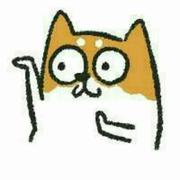 老街深巷的猫浪够却没的个人资料头像