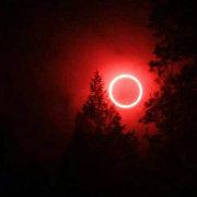 名字都是ABB的个人资料头像