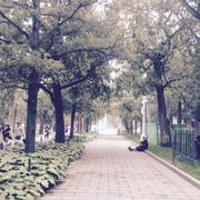 Aquarius同学25872的个人资料头像