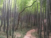 峰峰同志的个人资料头像