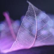 yuzhixi的个人资料头像