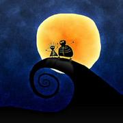 xieyixue的个人资料头像