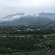 沉思的个人资料头像