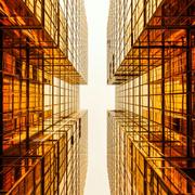 Odds的个人资料头像