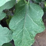 xsx的个人资料头像