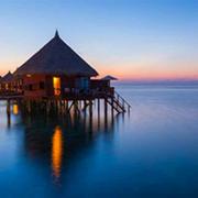 zhxiong1994的个人资料头像