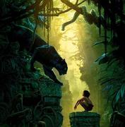 骑单车的个人资料头像