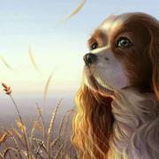 啊秀君的个人资料头像