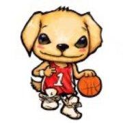 青春季风暴的个人资料头像