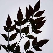 9hour的个人资料头像