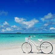 Agcaiyun的个人资料头像