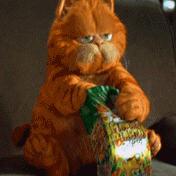 dcatfly27046的个人资料头像