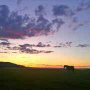 zhaodongbo的个人资料头像